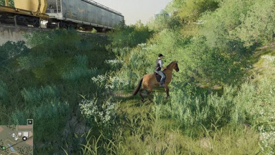 Farming Simulator 19 - разведение лошадей