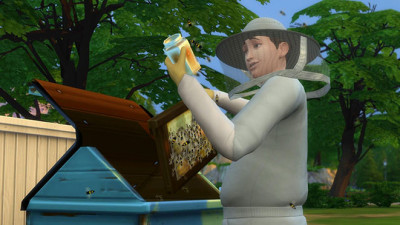 Пчеловодство. Ульи. Разведение пчел в игре The Sims 4